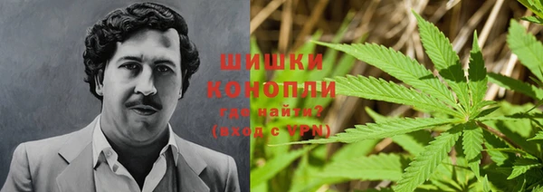соль ск Абдулино