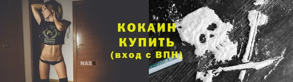гидра Абаза