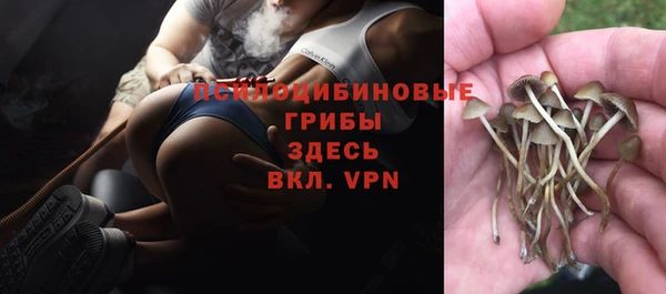 Альфа ПВП Абинск