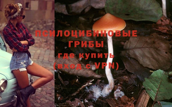 герыч Алексин