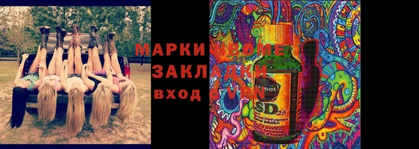 гидра Абаза