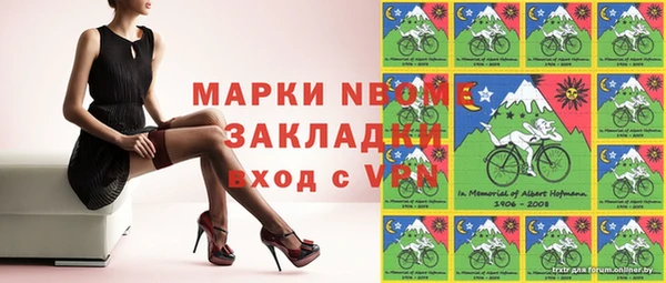 гидра Абаза