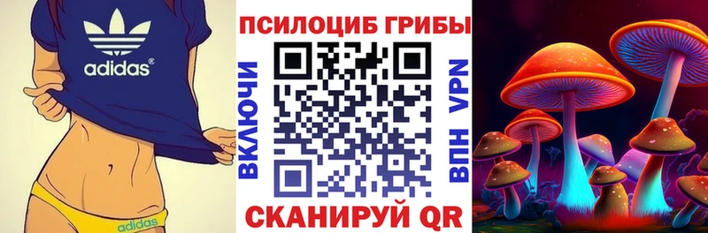 Галлюциногенные грибы мухоморы  Полевской 